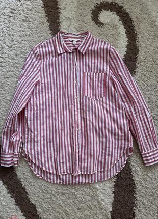 Бавовняна сорочка h&m Sale pp.s-m