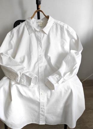 Белая оверсайз рубашка белья оверсайз рубашка h&amp;m6 фото