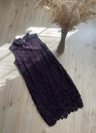 Сукня плаття жіноче міді warehouse фіолетовий колір квітковий принт s-m розмір