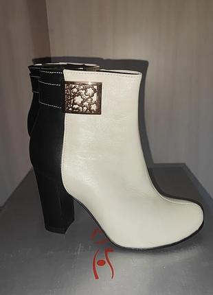 Сапоги осень