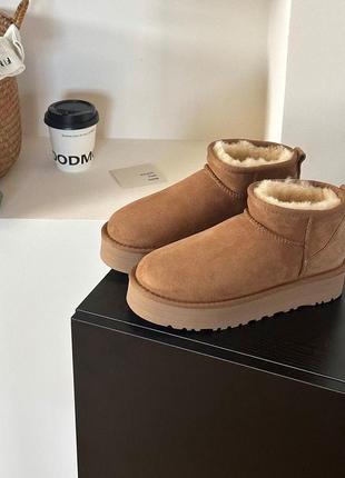 Ugg classic классические угги угги угги ugg мех угги