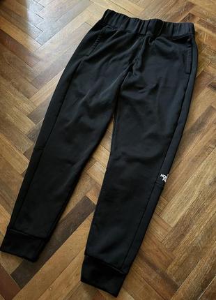 Спортивные утепленные штаны the north face.