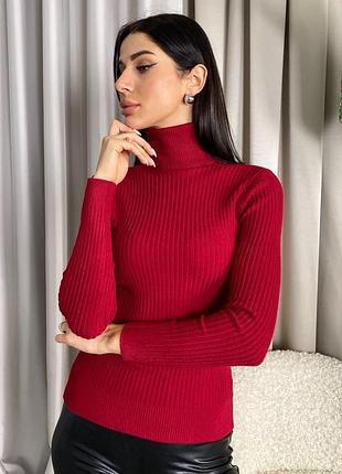 Водолазка в рубчик з коміром з відворотом