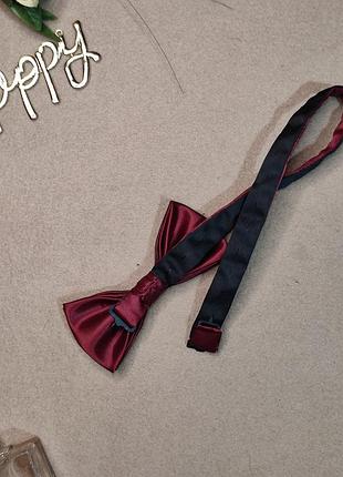 Краватка метелик 4