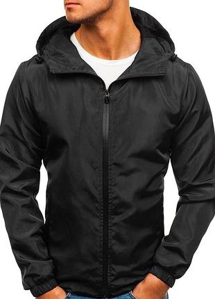 Ветрока весенняя