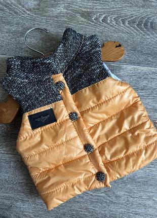 Жилет в новом состоянии, 6 месяцев