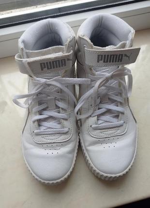 Оригинальные кроссовки puma2 фото