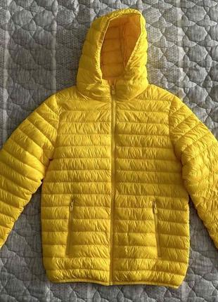 Легка осіння куртка