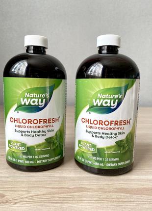 Рідкий хлорофіл (chlorofresh) 473.2 мл зі смаком м'яти та без nat