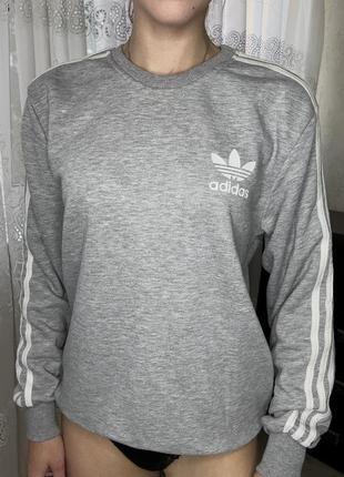 Світшот від фірми adidas