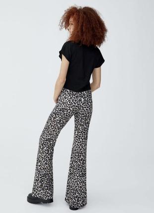 Pull & bear