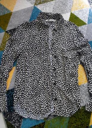 Блуза у леопардовый принт, рубашка zara, блузка на длинный рукав
