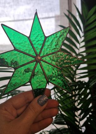 Зірка різдвяна