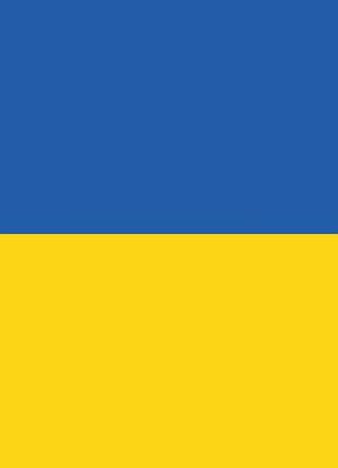 Інтер'єрна наліпка на стіну прапор україни 60*40 см