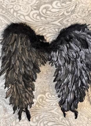 Крылья с перьями черные