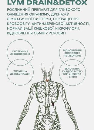 LR Health and Beauty лім дрейн лімфодренаж і детоксикація3 фото