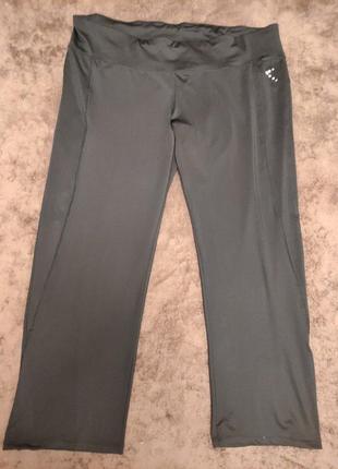 Штаны crivit, батал