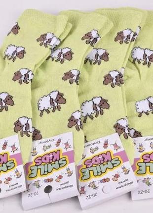 Носки на девочку, тоненькие носки р.18-202 фото