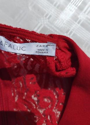 Красное плотное платье zara с гипюровой спинкой9 фото