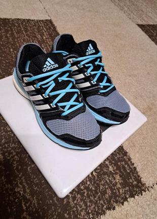 Кросівки жіночі adidas1 фото