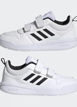 Кеди adidas/ кросівки adidas1 фото