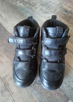 Черевики ботинки ecco