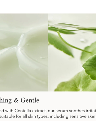 Освітлююча сироватка з вітаміном с та центелою азійською beauty of joseon light on serum centella +3 фото