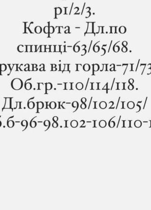 Спортивний костюм жіночий базовий теплий на флісі флісовий чорний сірий бежевий осінній на осінь демісезонний з капюшоном батал10 фото