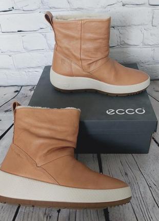 Зимние сапоги per ecco Брендиuk из кожи которая и нат мехом