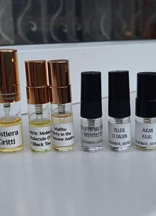 Dr. gritti costiera, escentric molecules molecule 01 + black tea, escentric molecules molecule 02, le galion tilleul, kajal aican, simone andreolі