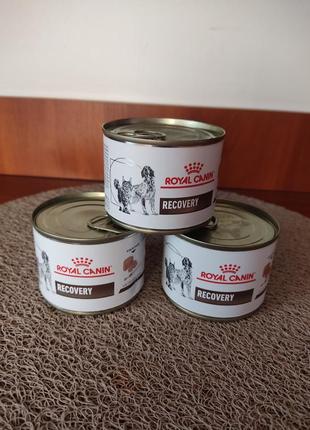 Консервированный корм для взрослых собак и котов royal canin recovery в период восстановления,195 г 
франция