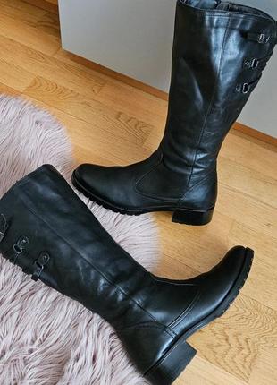 Высокие кожаные сапоги pavers демисезонные