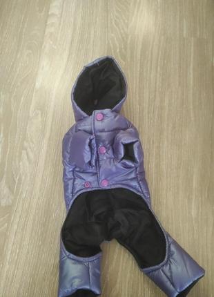 Куртка для собак