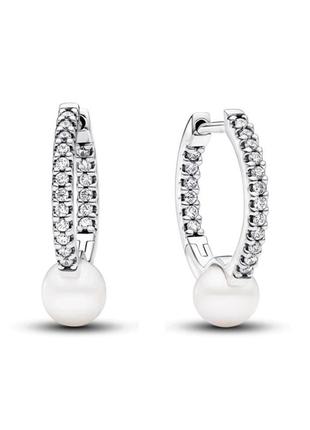 Срібні сережки з перлинами та паве 293171c01