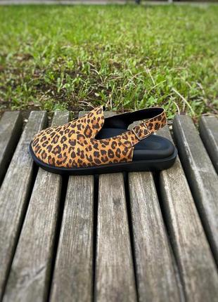 Леопардові капці клогі сабо жіночі new collection