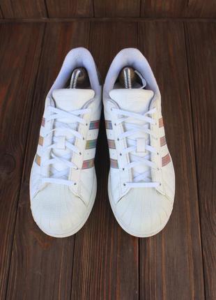 Кросівки adidas superstar aq0798 38,5р кеди5 фото