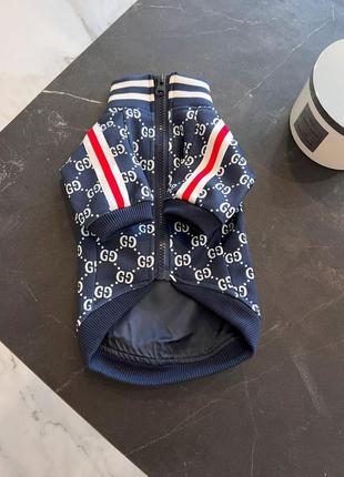 Брендова еластична вітровка для собак gucci на змійці під горло з білими значками, синя