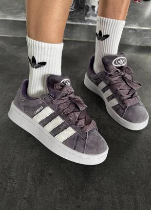 Женские кроссовки adidas campus grey white адидас кампус серого с белым цветами1 фото