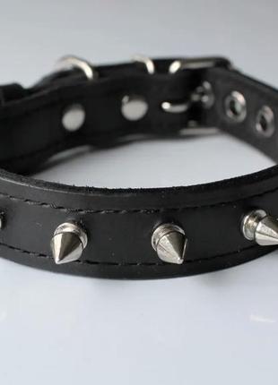 Нашийник з шипами "lockdog" на невеликого собаку m