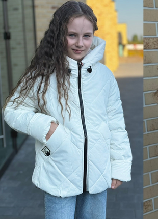 Куртка демі, з капюшоном