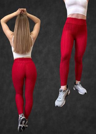 Легінси sport/casual