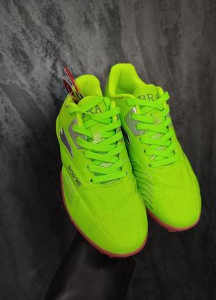 Сороканіжки