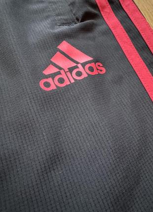 Спортивные штаны adidas9 фото