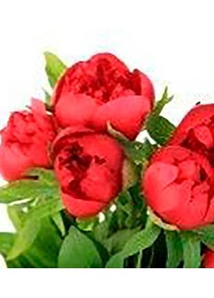 Алмазна мозаїка для дітей 7 років червоні півонії strateg 10х15 см