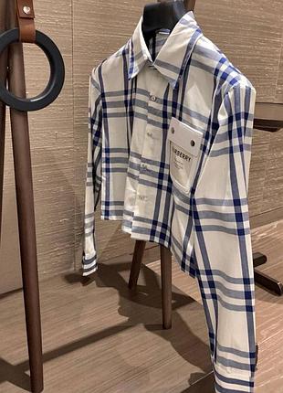 Рубашка укороченная в стиле burberry в полоску бело синяя