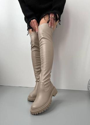 Жіночі шкіряні чоботи  ботфорти демі