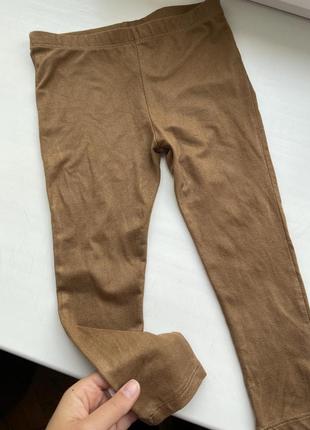 Красиві лосінки