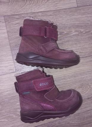 Зимові черевики чоботи ecco 23
