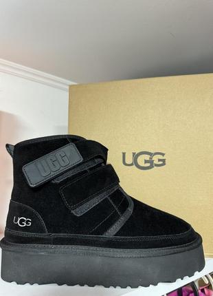 Ugg угги оригинал