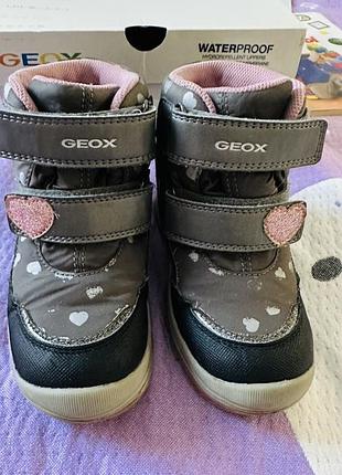 Черевики geox. ботінки